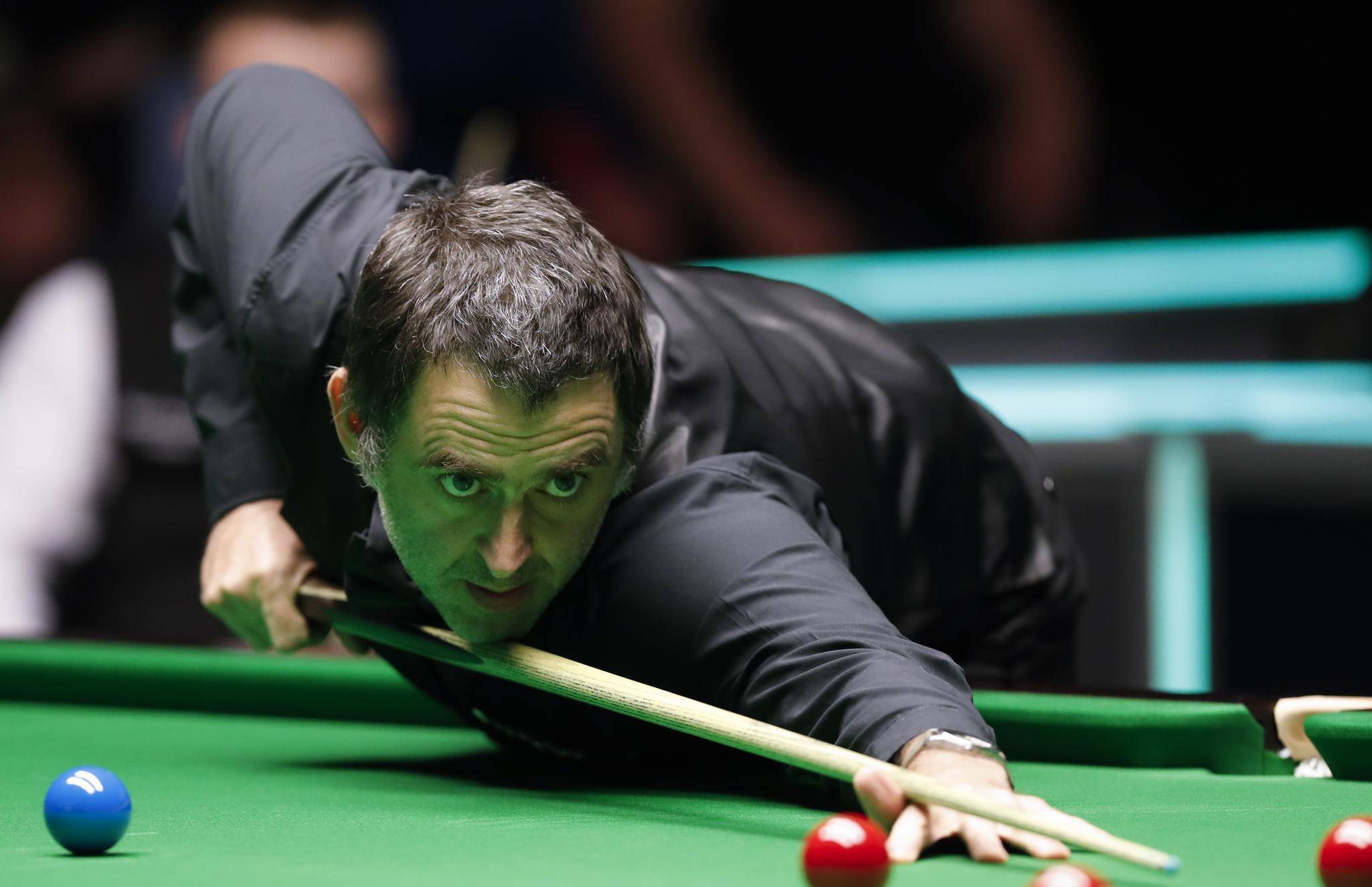 提供了重要 提供了重要