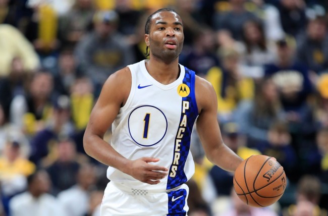 恰恰印证了 恰恰印证了