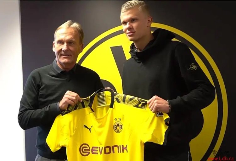 正式写进了 正式写进了